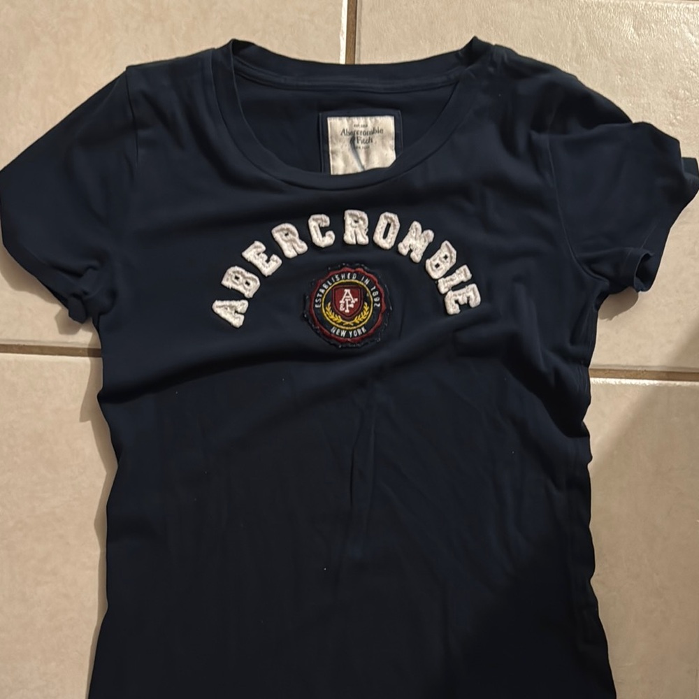 Abercrombie & Fitch Blue Fitted Short Sleeve Tee